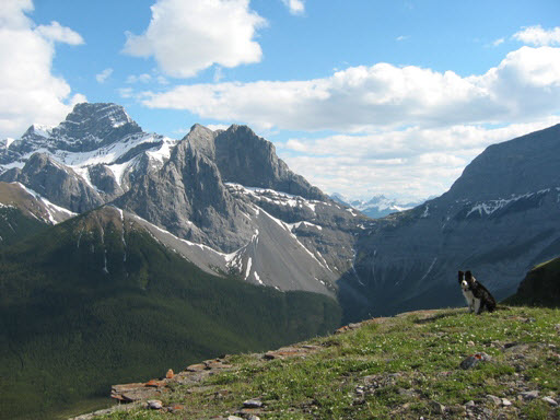 Alberta’s new carbon&nbsp;tax
