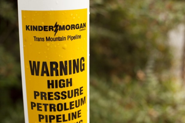 Exaggerations in the&nbsp;pipeline